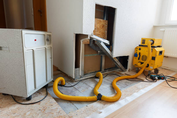  Patterson Tract, CA Mold Removal Pros