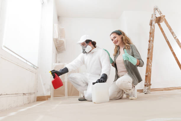 Best Asbestos and Lead Testing During Mold Inspection  in Patterson Tract, CA
