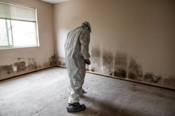 Best Mold Odor Removal Services  in Patterson Tract, CA