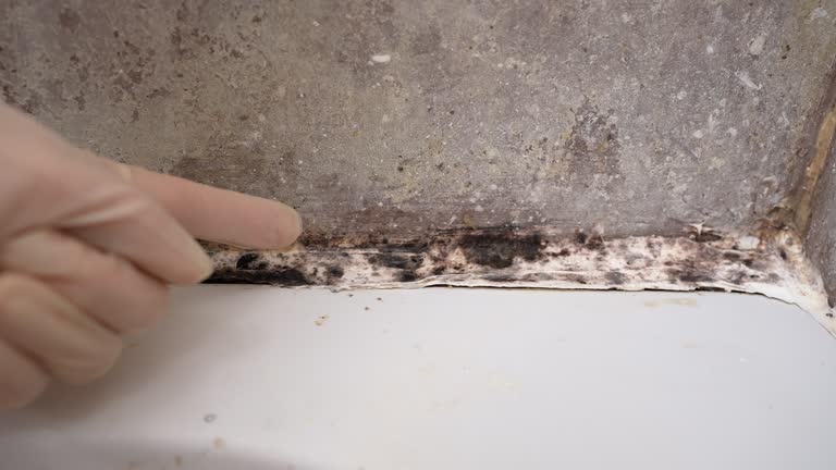 Best Dehumidification Services  in Patterson Tract, CA
